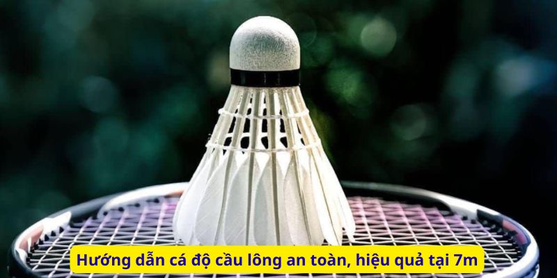Hướng dẫn cá độ cầu lông an toàn, hiệu quả tại 7m