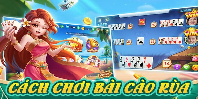 Cộng đồng MMWIN cá cược bài cào rùa lý tưởng cho dân cược