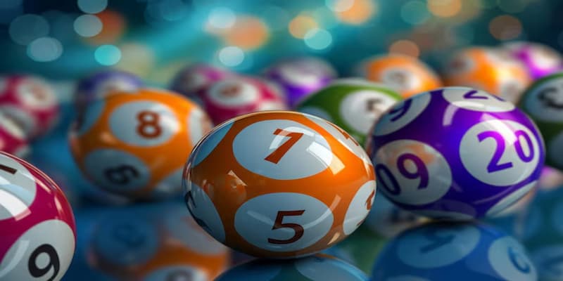 Bongvip hướng dẫn nuôi số lô đề dài hạn